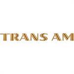 dekal bakspoiler, "TRANS AM" guld/gul/svart